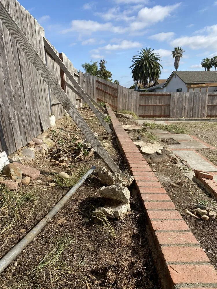 Expert yard cleanup service in San Diego, CA by WINN Services
