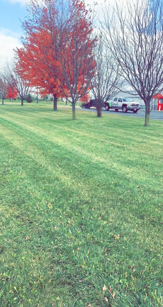 Expert yard cleanup service in Oshkosh, WI by Winnebago Lawn & Snow