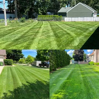 Winners Circle Turf And Landscape