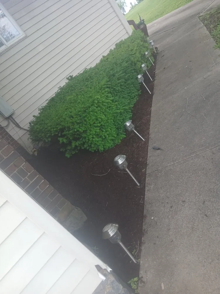 Professional lawn care service experts serving Butler, PA - Winner's Remodeling and Landscaping