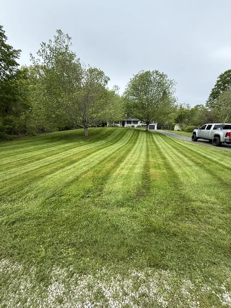 Top-rated yard cleanup service in Wolfeboro, NH - Winni Property Services