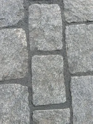 Winni Property Services