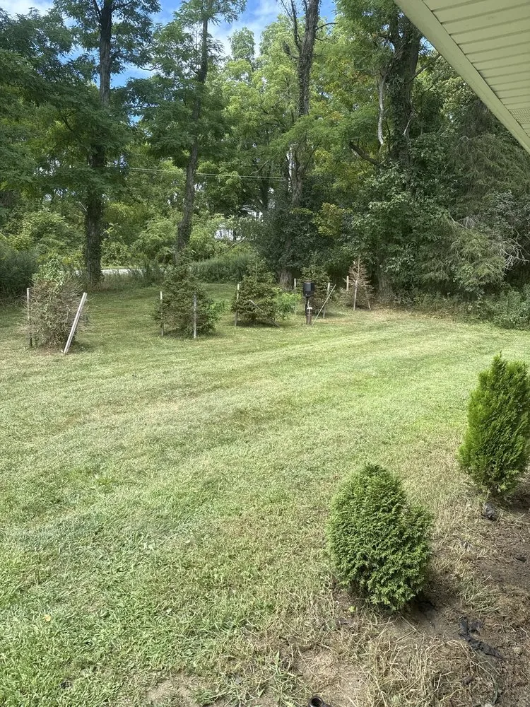 Professional yard cleanup service in Ballston Spa, NY by Winnie's Lawn Care