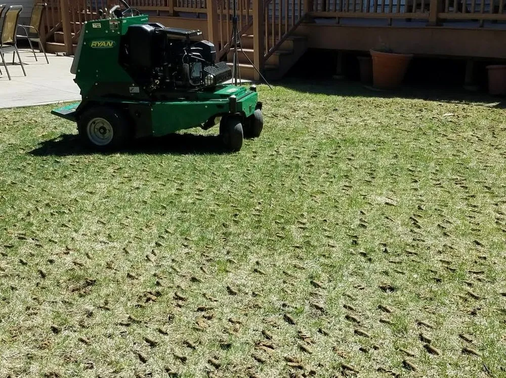 Local yard maintenance near you across Ballston Spa, NY - Winnie's Lawn Care