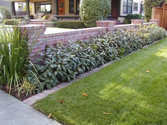 Expert landscape installation in Menlo Park, CA - Winning Landscape