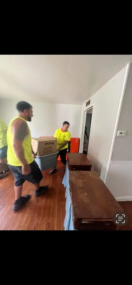 Expert yard cleanup service for homes across Ellicott, NY - Winning Tree