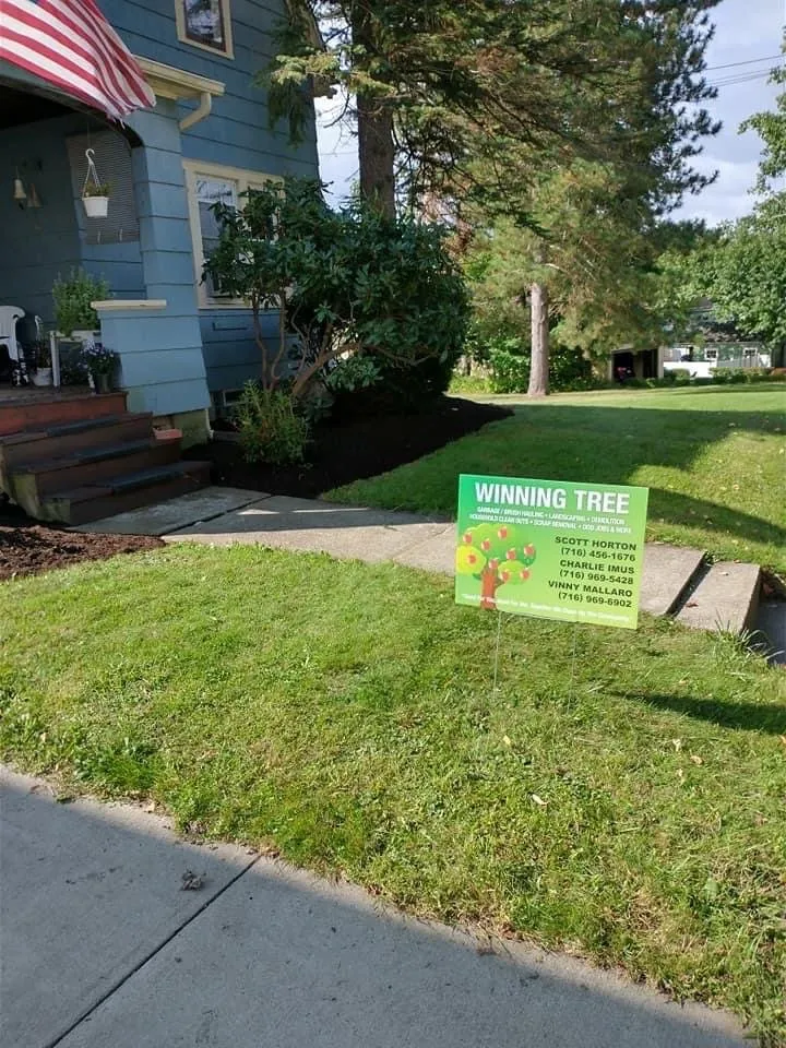 Top-rated yard maintenance for beautiful yards across Ellicott, NY - Winning Tree