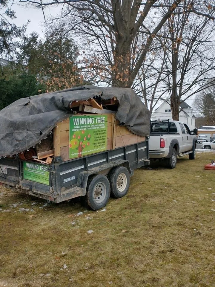 Reliable landscape installation in Ellicott, NY - Winning Tree