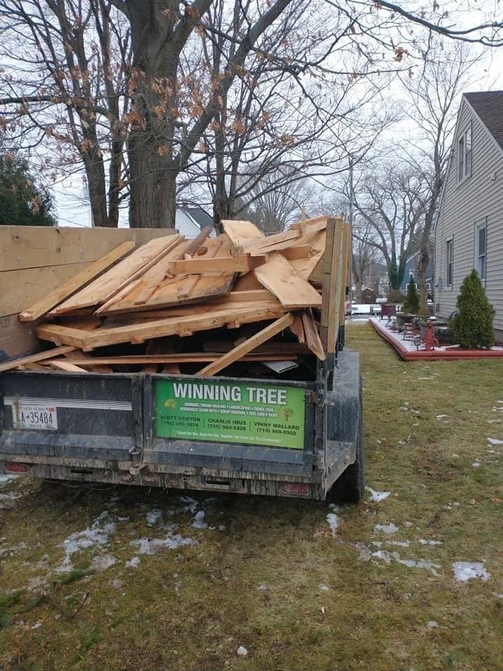 Affordable lawn care service experts serving Ellicott, NY - Winning Tree