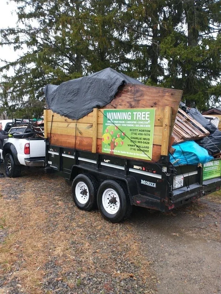 Local landscaping services in Ellicott, NY - Winning Tree