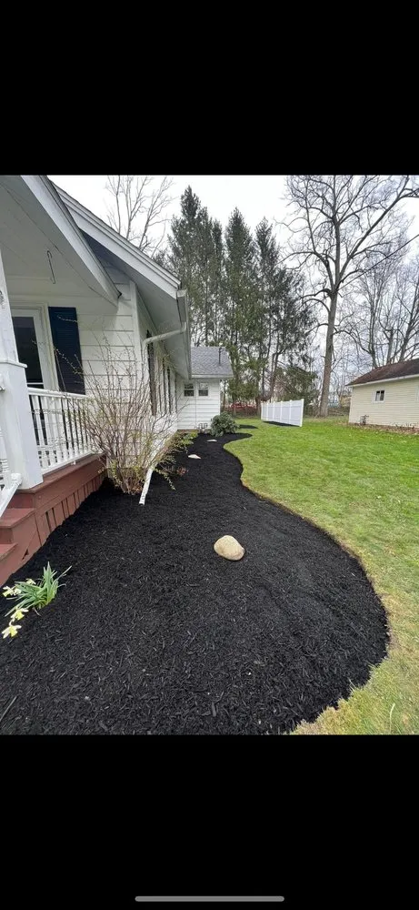 Top-rated yard cleanup service in Ellicott, NY - Winning Tree