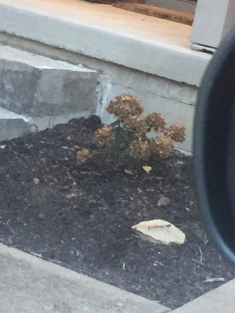 Local lawn mowing service with custom design in Gahanna, OH by Winnscapes