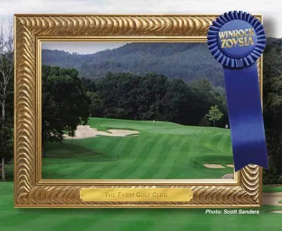 Custom outdoor landscaping for beautiful yards across Little Rock, AR - Winrock Grass Farm