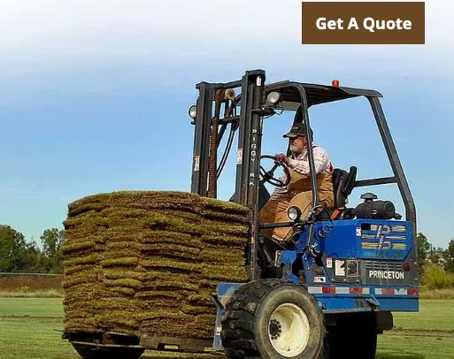 Expert yard cleanup service for residential properties across Little Rock, AR - Winrock Grass Farm