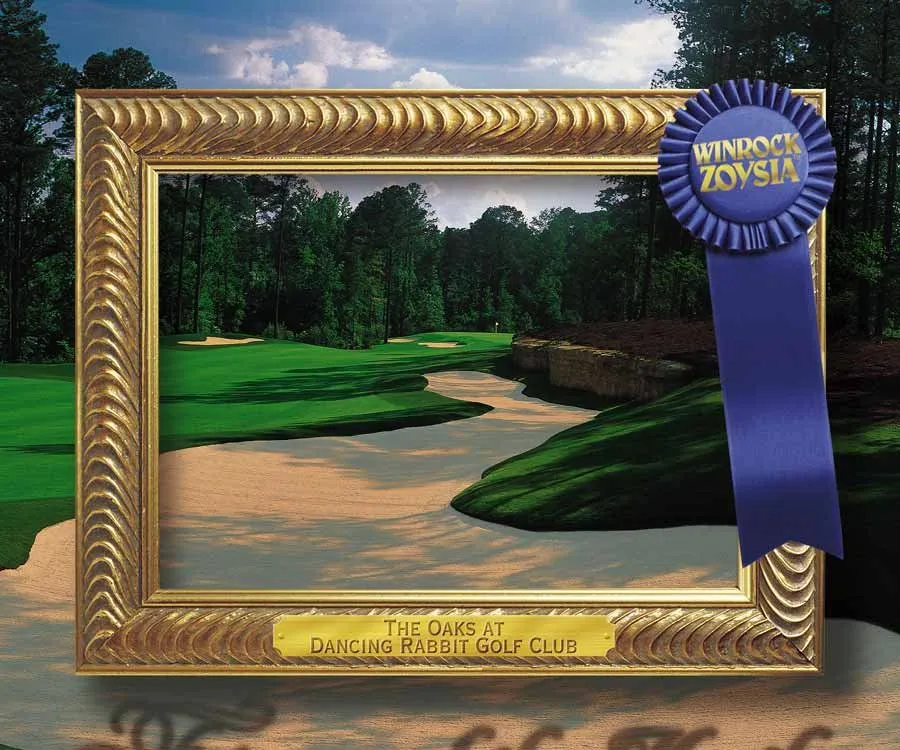 Professional landscape installation experts serving Little Rock, AR - Winrock Grass Farm