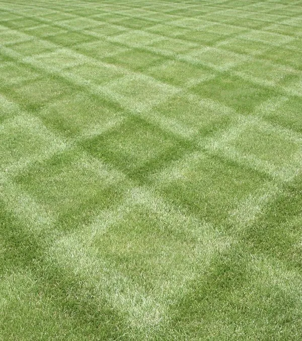 Trusted lawn care service experts serving Swartz Creek, MI - Winslow’s Lawn Care and Landscaping