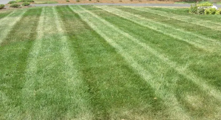 Professional landscaping services in Swartz Creek, MI - Winslow’s Lawn Care and Landscaping