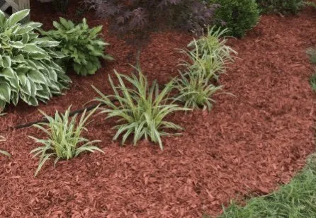 Professional landscape installation in Swartz Creek, MI - Winslow’s Lawn Care and Landscaping