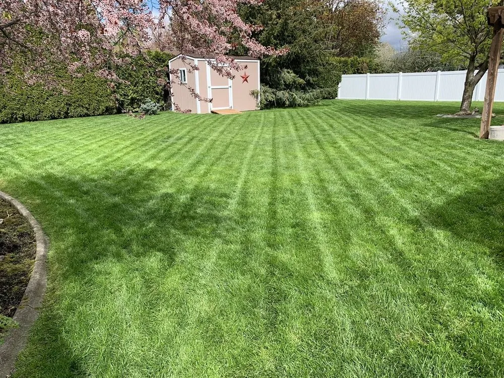 Trusted lawn care service for residential properties across Post Falls, ID - Winsome Landscaping