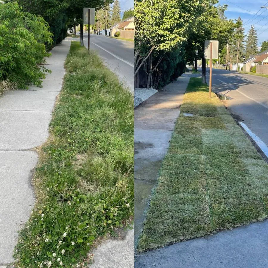 Professional yard maintenance in Post Falls, ID by Winsome Landscaping