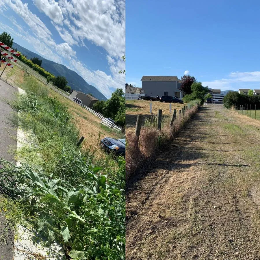 Trusted yard cleanup service near you across Post Falls, ID - Winsome Landscaping