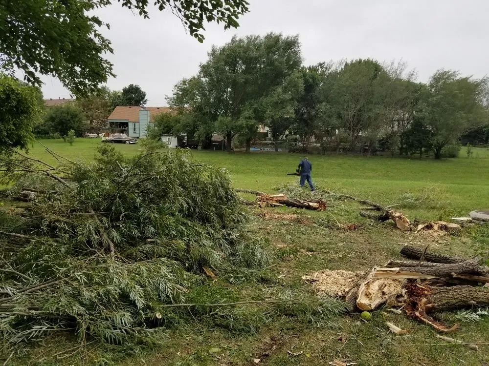 Trusted yard cleanup service experts serving Wichita, KS - Winsor landscapes