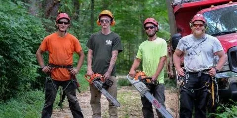 Professional yard maintenance for outdoor upgrades in Cornwall, CT by Winsser Tree Care