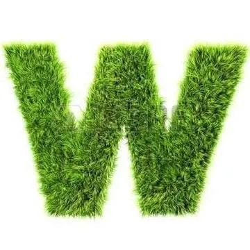 Reliable yard cleanup service in Columbus, OH - Winstead Lawn Care