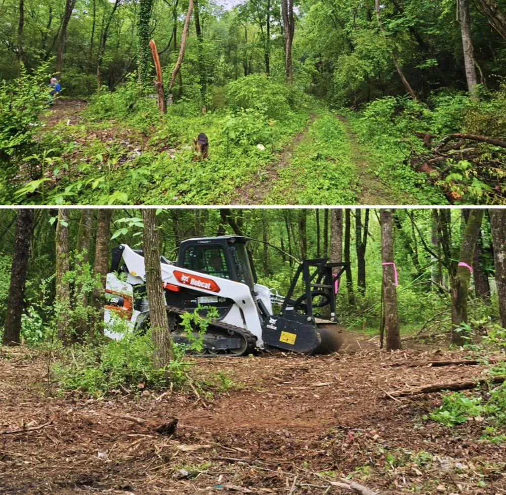 Reliable yard cleanup service in Comer, GA by Winstone Forestry & Excavation
