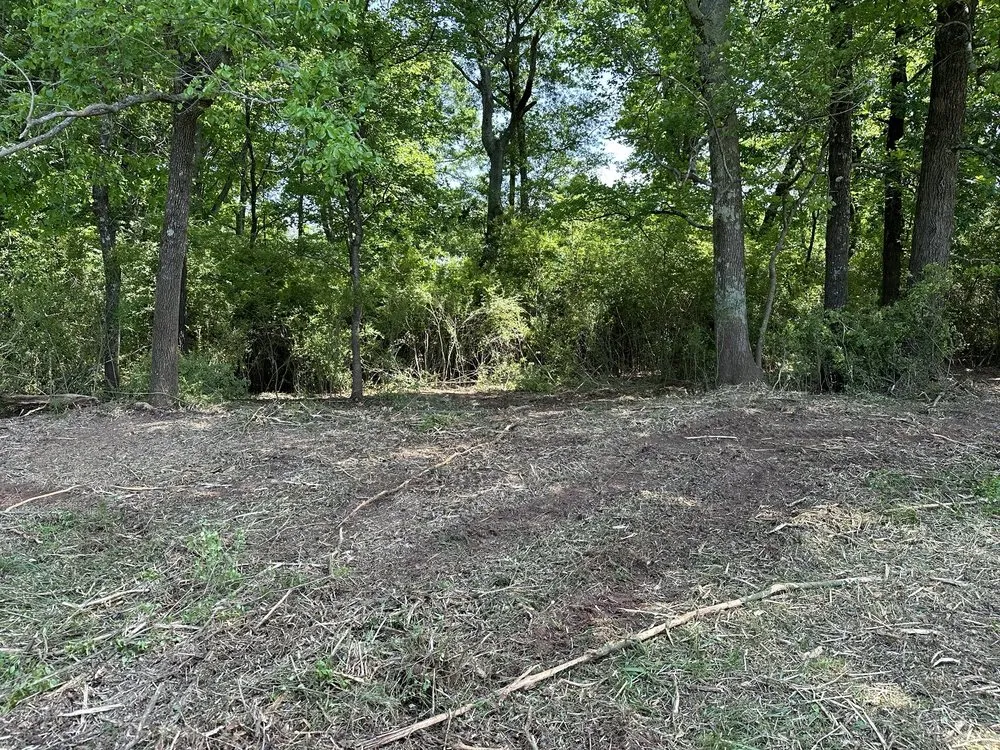 Custom residential landscaping in Comer, GA - Winstone Forestry & Excavation