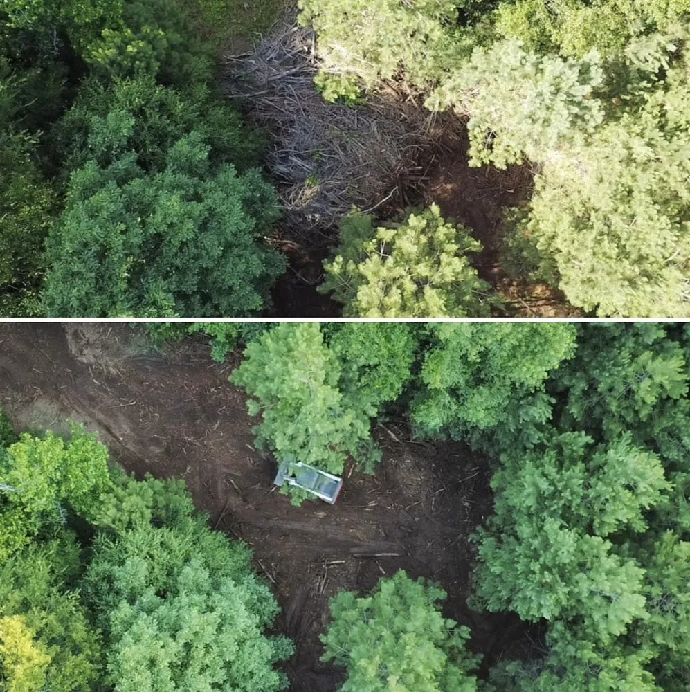 Trusted yard cleanup service for year-round maintenance in Comer, GA by Winstone Forestry & Excavation