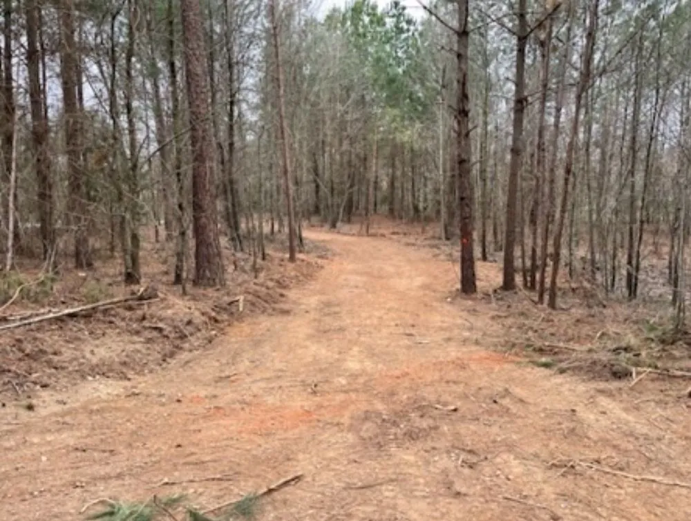 Reliable landscaping services in Comer, GA by Winstone Forestry & Excavation
