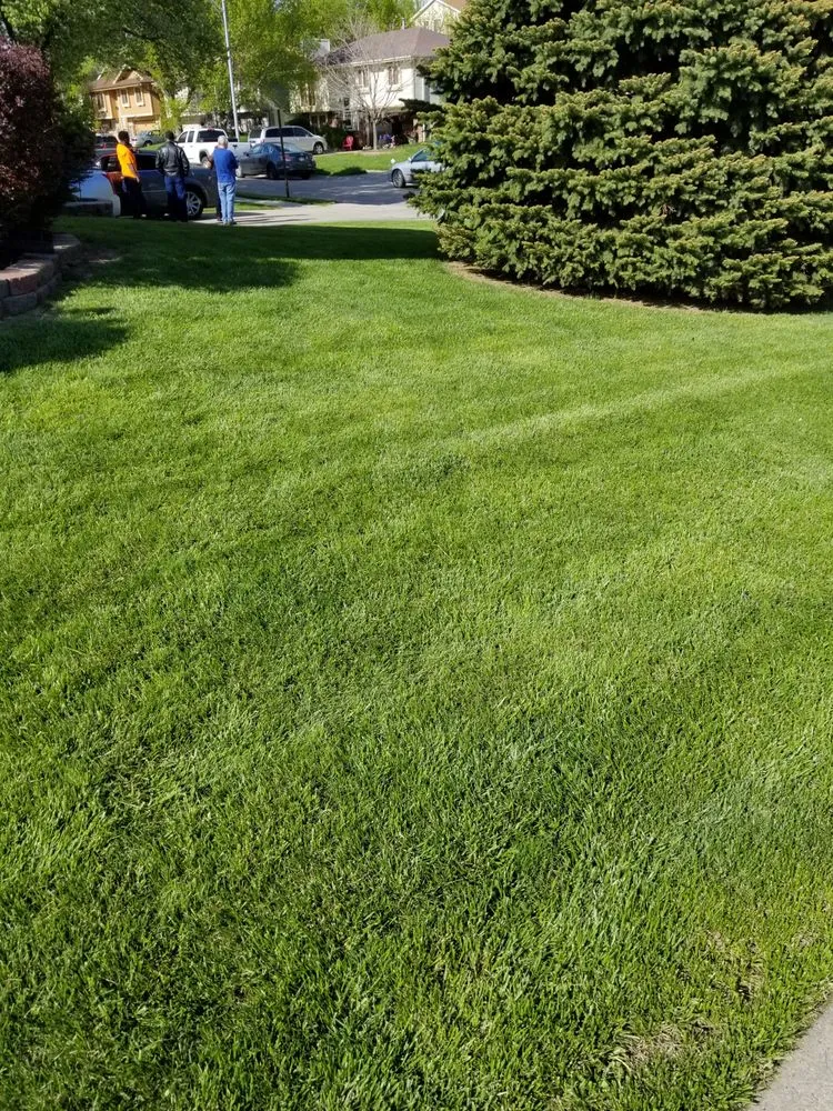 Top-rated lawn care service in Bellevue, NE by Winston's Lawn Care & Snow Removal