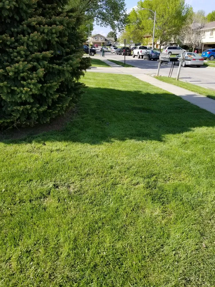 Custom garden landscaping in Bellevue, NE by Winston's Lawn Care & Snow Removal