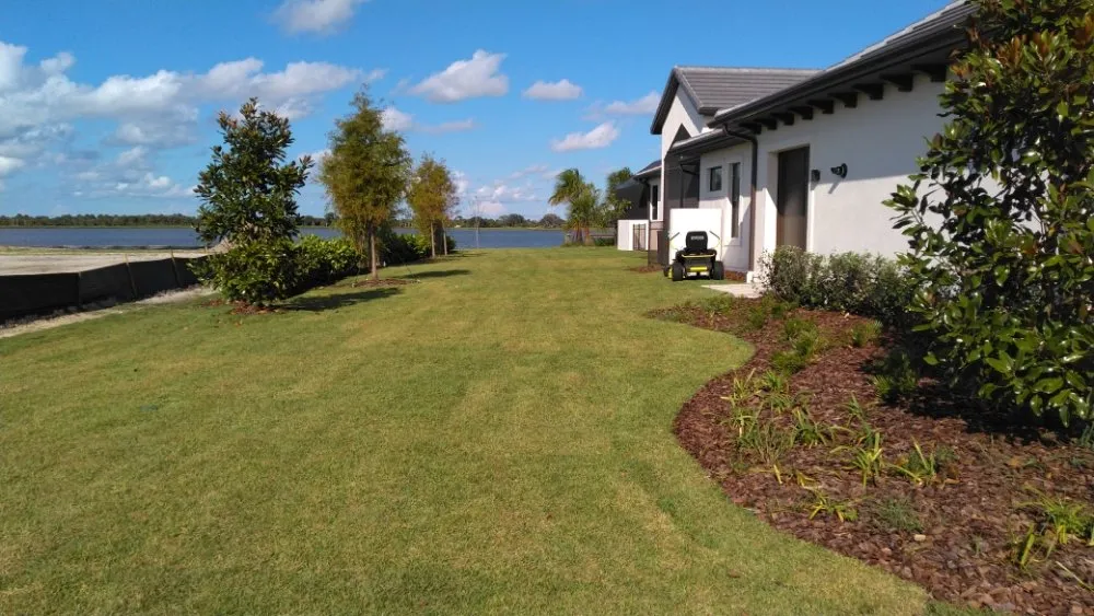 Trusted yard cleanup service in Palm Bay, FL - WinTech