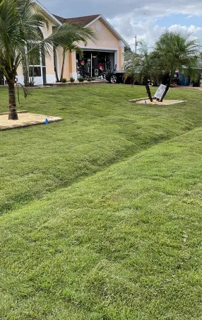 Affordable residential landscaping for outdoor upgrades across Palm Bay, FL - WinTech