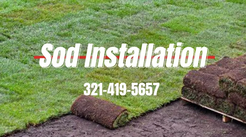 Affordable yard cleanup service for residential properties in Palm Bay, FL by WinTech