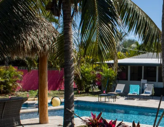 Reliable lawn mowing service for beautiful yards in Palm Bay, FL by WinTech