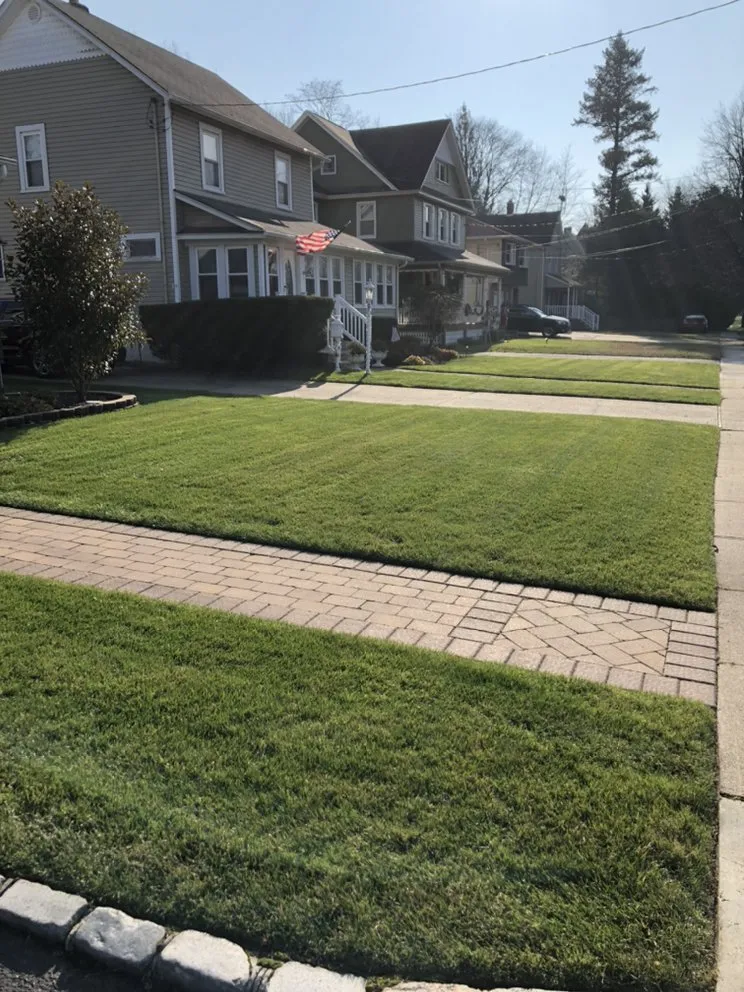 Affordable yard maintenance experts serving Massapequa, NY - Winter Gardens Landscaping