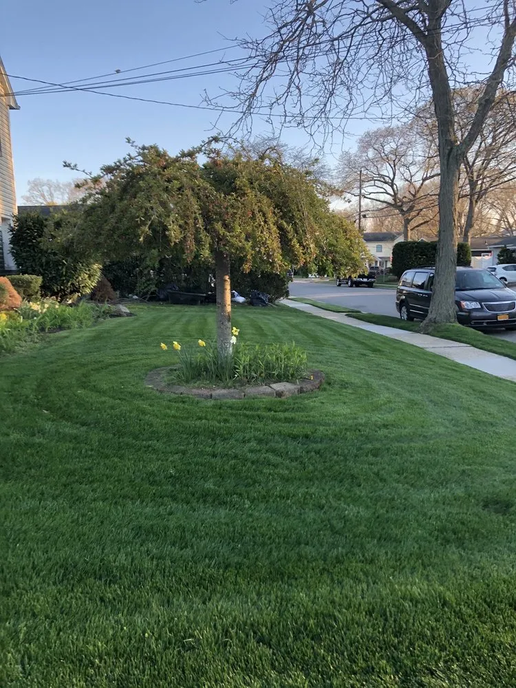 Professional landscape design for year-round maintenance across Massapequa, NY - Winter Gardens Landscaping