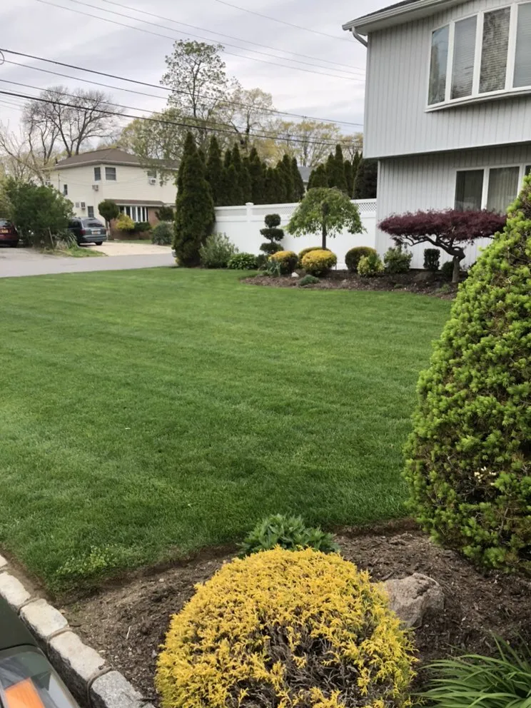 Top-rated yard cleanup service in Massapequa, NY - Winter Gardens Landscaping