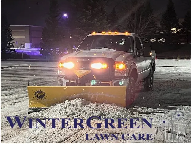 Professional yard cleanup service experts serving Bristol, IL - Winter Green