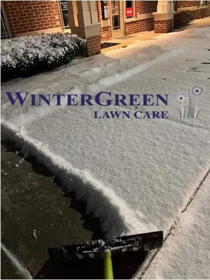 Trusted yard maintenance in Bristol, IL - Winter Green