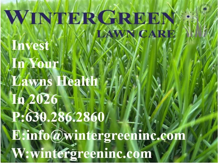 Expert lawn care service in Bristol, IL by Winter Green