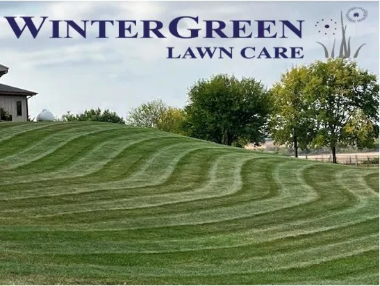 Affordable landscaping services experts serving Bristol, IL - Winter Green