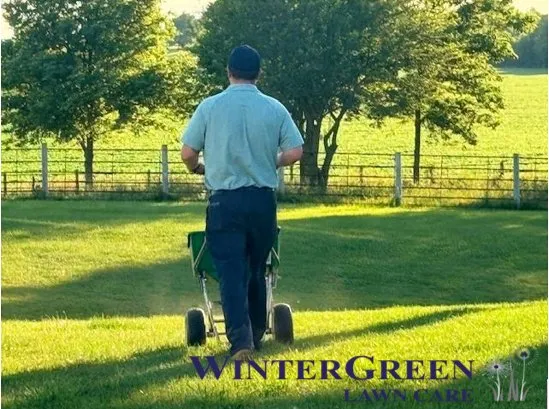 Affordable residential landscaping experts serving Bristol, IL - Winter Green