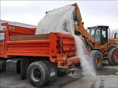 Winter Green II Lawn & Landscaping Logo