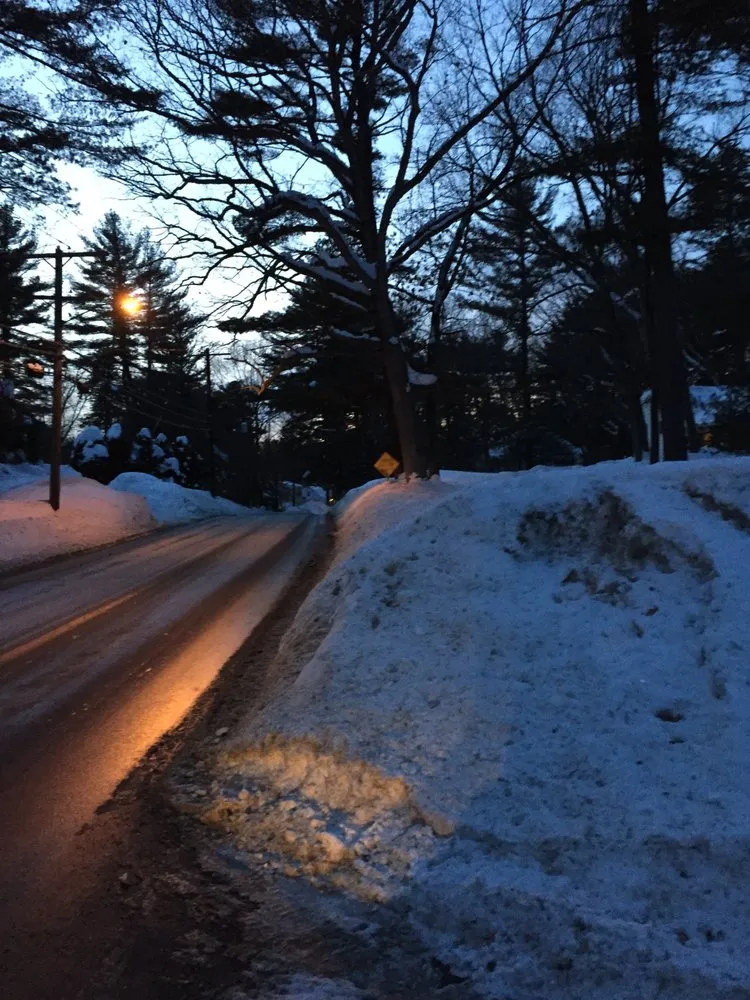 Custom yard cleanup service in Sudbury, MA by Winter Harbor Snow Management LLC