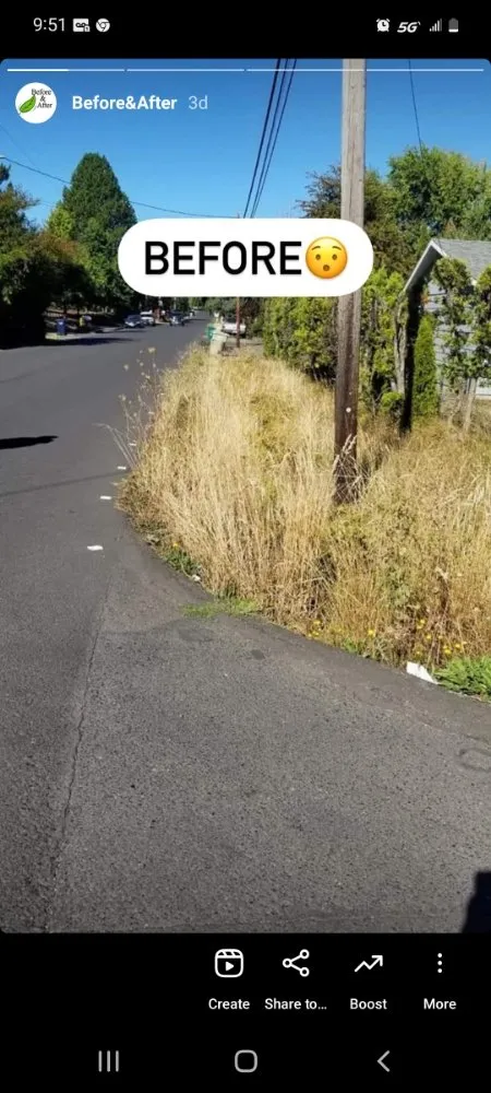 Reliable yard cleanup service in Aloha, OR - Winter Leaf Lawn Care