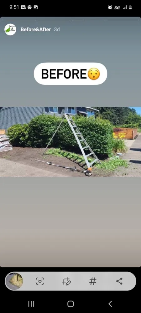 Expert outdoor landscaping with custom design in Aloha, OR by Winter Leaf Lawn Care